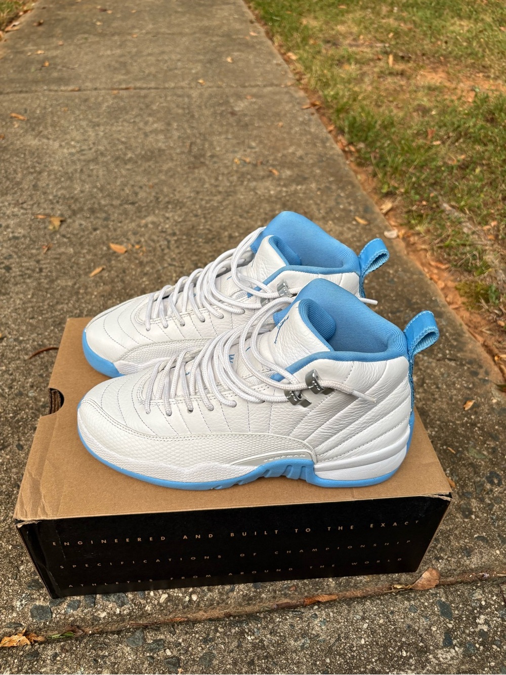 Air Jordan 12 Retro (GS)